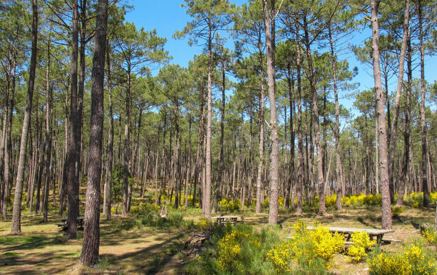 Jade et Elena - Photo 33