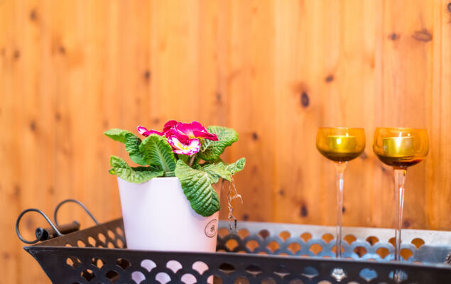 Reinskopf - Photo 11