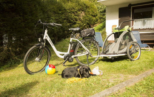 Reinskopf - Photo 27