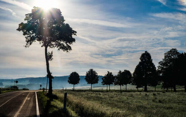 Reinskopf - Photo 42