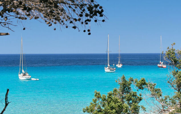 Suite une chambre - Photo 25