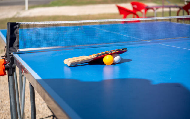 Les Hameaux de La Chalosse - Photo 27