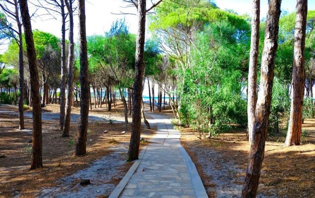 Selema Camping - Photo 4