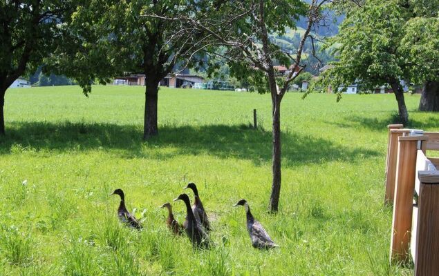 Gasteighof - Photo 9